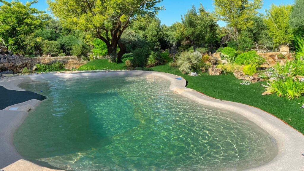 Piscine Lagon Et Bassin Cologique Par Les Experts Lagoon Piscines